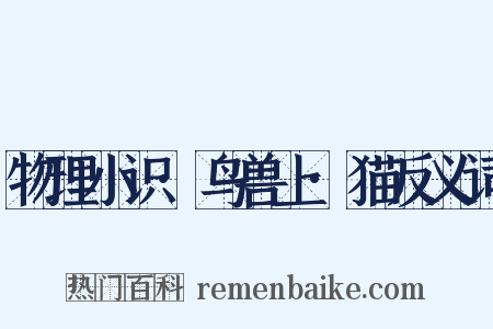 物理小识·鸟兽上·猫反义词是什么意思的图片